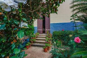 6 Bedroom Villa - La Orotava (0)