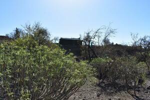 House - Chío (2)