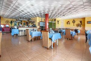 Business - Puerto de Santiago (2)