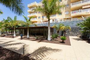 Appartamento di 2 Camere - Palm Mar - Residencial Primavera (2)