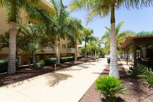 Appartement de 2 chambres - Palm Mar - Residencial Primavera (3)