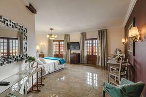 9 Bedroom Hotel - La Laguna (2)