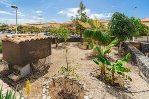 Villa mit 5 Schlafzimmern - El Madroñal (1)