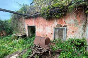 House - La Matanza de Acentejo (2)
