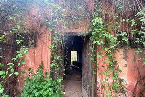 House - La Matanza de Acentejo (1)