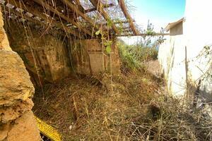 House - La Matanza de Acentejo (0)