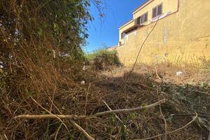 House - La Matanza de Acentejo (0)