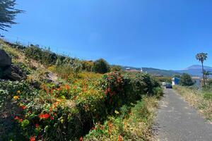 Land - La Matanza de Acentejo (2)
