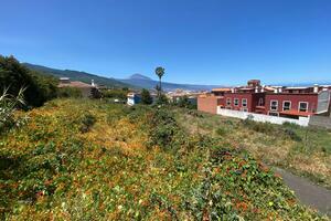 Land - La Matanza de Acentejo (2)
