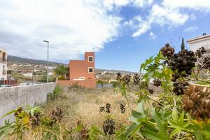 Land - Granadilla de Abona (2)