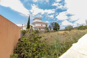 Land - Granadilla de Abona (3)