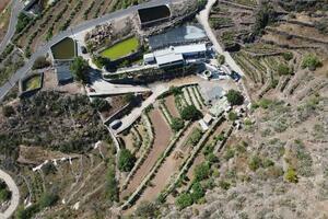 Finca - Guía de Isora (3)