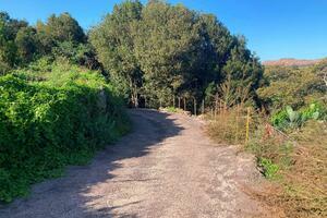 Land - El Tanque - Rosa Vieja (3)