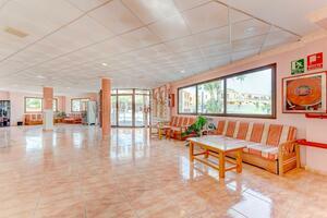 79 Bedroom Hotel - Costa del Silencio (2)