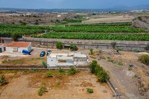 Finca - Guía de Isora (2)