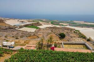 Landshof - Guía de Isora (3)