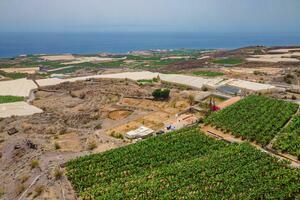 Finca - Guía de Isora (1)