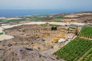 Podere - Guía de Isora (3)