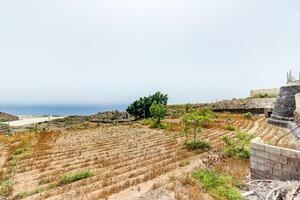 Finca - Guía de Isora (2)