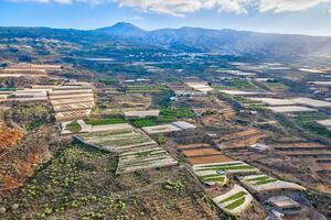 Finca - Guía de Isora (1)