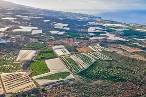 Finca - Guía de Isora (0)