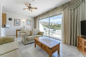 27 Bedroom Hotel - San Eugenio Alto - Florida Park (3)
