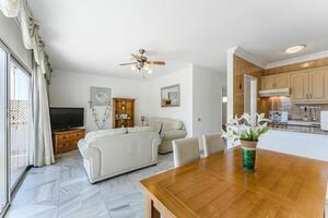 27 Bedroom Hotel - San Eugenio Alto - Florida Park (2)