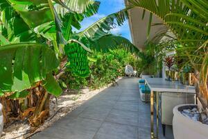 Luxury 4 Bedroom Villa - Torviscas Alto - Paraíso de Fañabé (2)