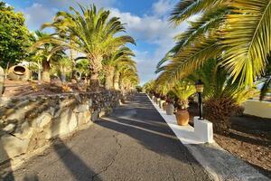 9 Bedroom Villa - Alcalá (3)