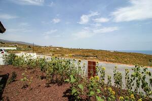 3 Bedroom Villa - Granadilla de Abona (2)