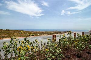 3 Bedroom Villa - Granadilla de Abona (3)