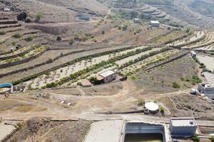 Land - Vilaflor (0)