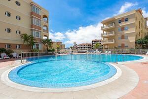 2 Bedroom Apartment - Golf del Sur  - Winter Garden (0)