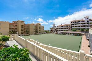2 Bedroom Apartment - Golf del Sur  - Winter Garden (1)