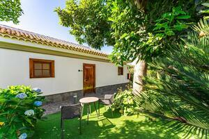20 Bedroom Hotel - Los Realejos (0)