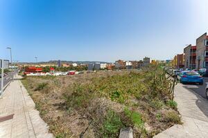 Land - La Laguna (1)