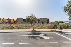 Land - La Laguna (3)