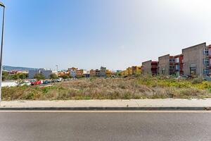 Land - La Laguna (1)