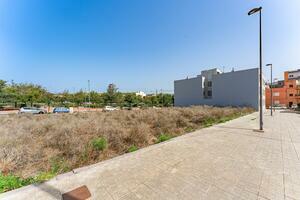 Land - La Laguna (3)