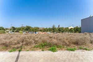 Land - La Laguna (0)