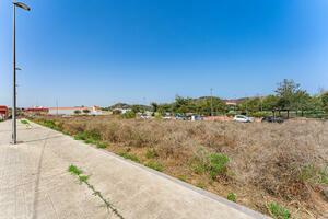 Land - La Laguna (1)