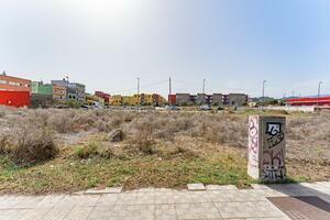 Land - La Laguna (3)