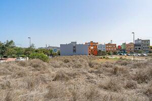 Land - La Laguna (2)