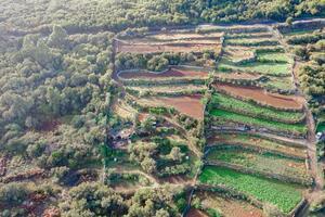 Land - El Tanque (1)