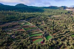 Land - El Tanque (3)