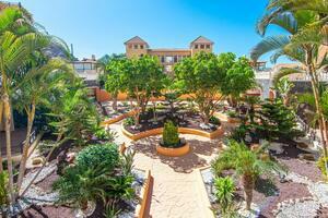 Penthouse mit 2 Schlafzimmern - Los Cristianos - Parque Tropical 2 (0)