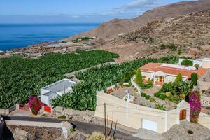 Finca - Guía de Isora (2)