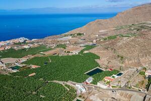 Finca - Guía de Isora (2)