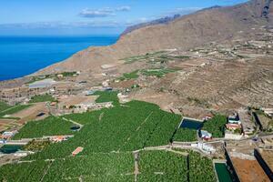 Podere - Guía de Isora (3)