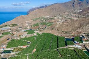 Finca - Guía de Isora (0)